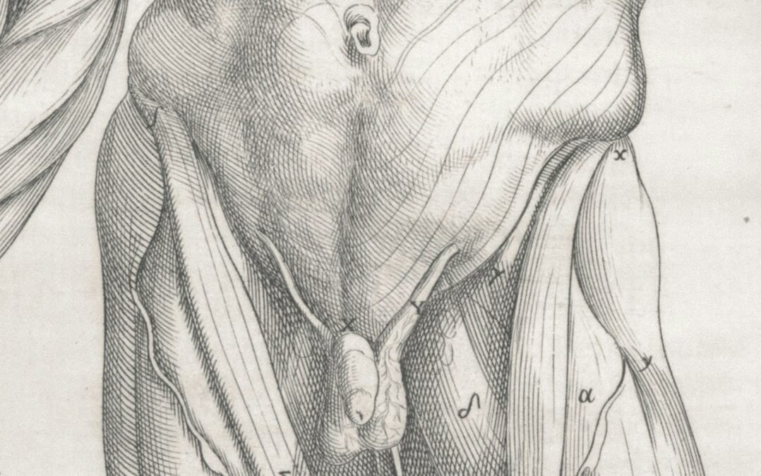 Dá Para Perceber um Pênis com Prótese?