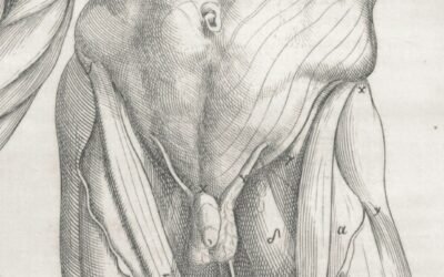 Dá Para Perceber um Pênis com Prótese?